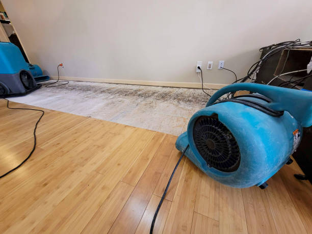 Professional Emergency Water Damage technician working in Hunt Valley, MD